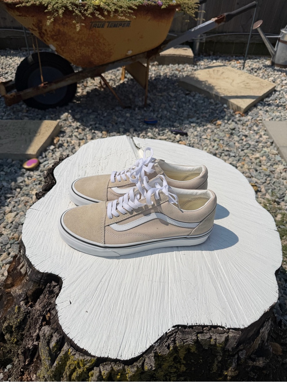 Vans - Picture 3 of 5